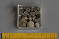 F 01500
<br/>
<br/>
<em></em>